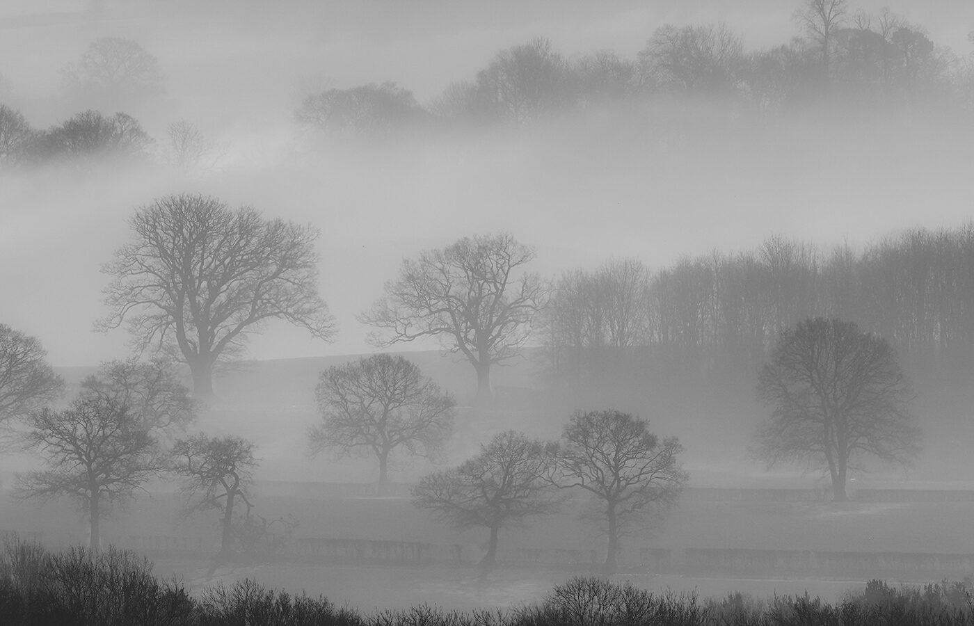 Fourth Place - Misty Morning by David Mather
