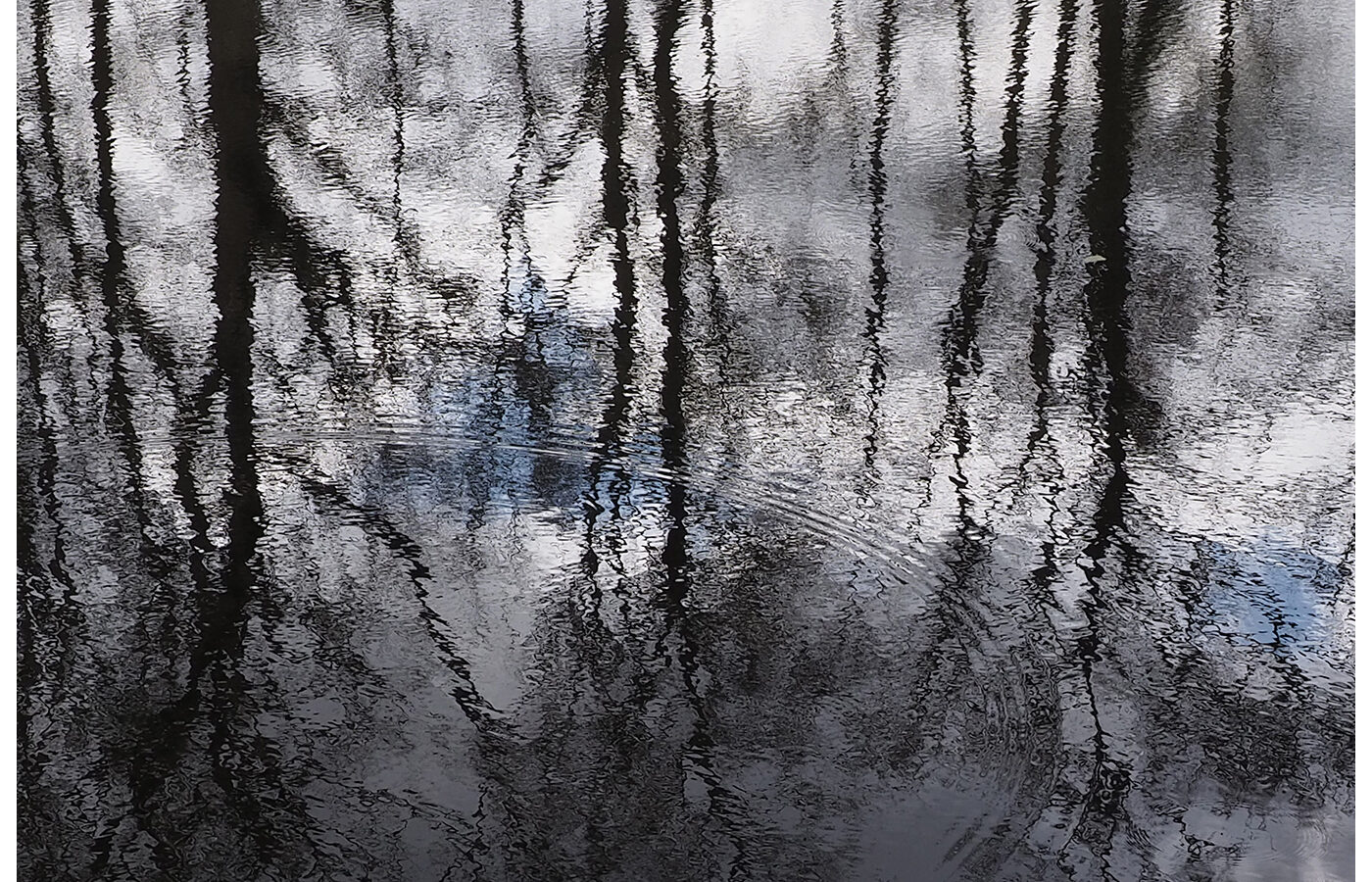 Fourth Place - Reflections by David Mather